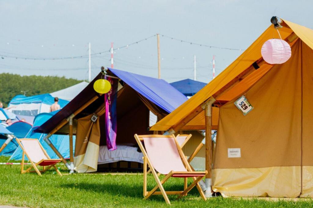 100 Jaar Tt Circuit Assen 2025 Glamping Incl Stroom ภายนอก รูปภาพ